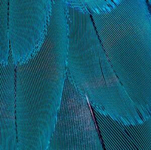 Impeka - Premium WordPress Multipurpose theme by Greatives